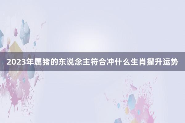 2023年属猪的东说念主符合冲什么生肖擢升运势